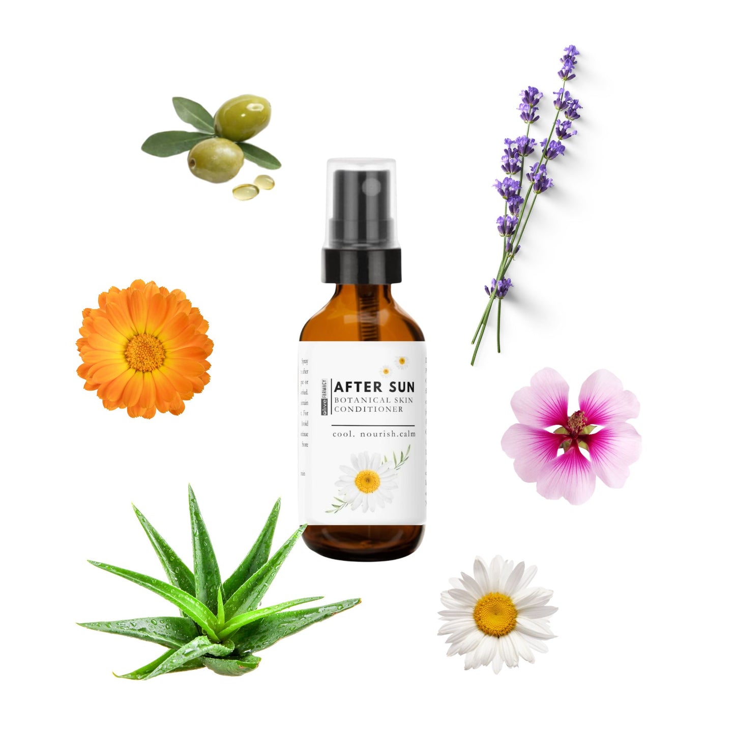 After sun botanical skin conditioner bottle with natural elements on a white background
