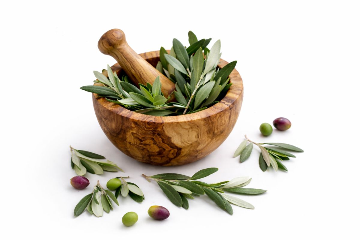 Wooden mortar and pestle with green leaves and olives on a white background